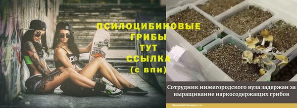 мяу мяу мука Нязепетровск