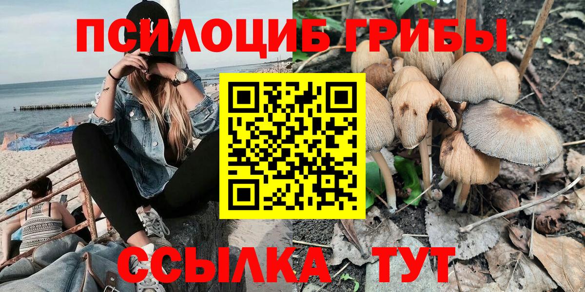 Галлюциногенные грибы Psilocybe Алексин