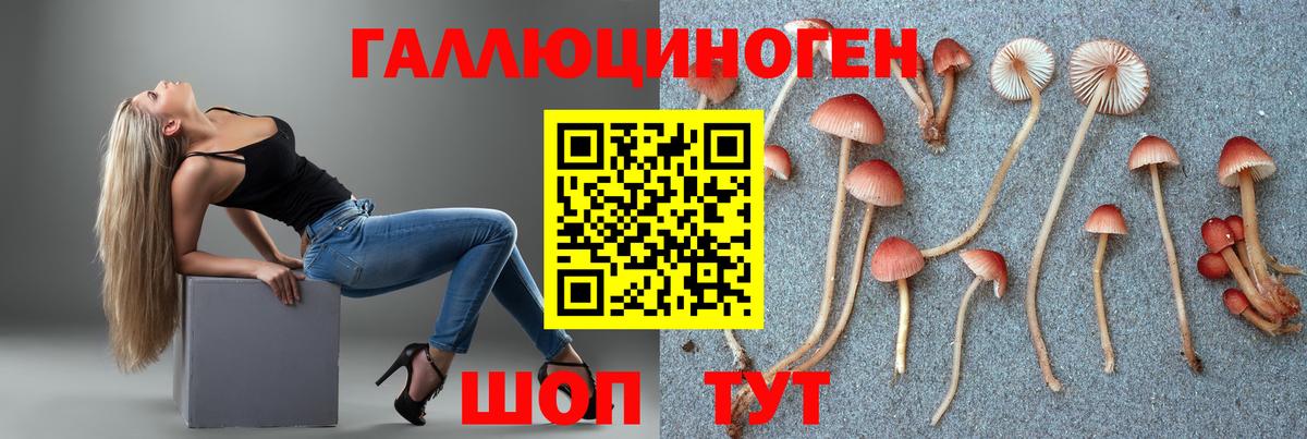 Галлюциногенные грибы GOLDEN TEACHER  Вход с VPN  Алексин 