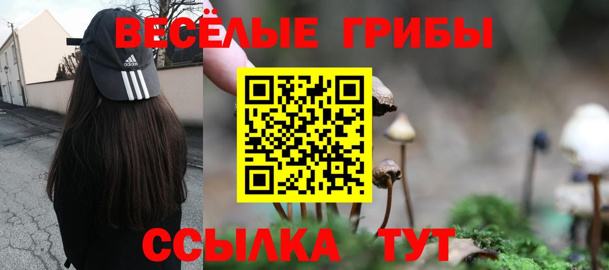 Псилоцибиновые грибы GOLDEN TEACHER Алексин
